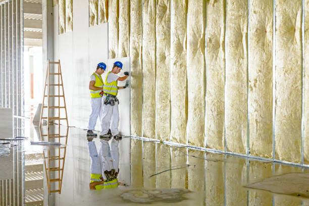 Best Commercial Insulation in Fairfield Plantation, GA